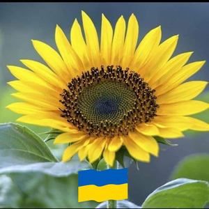 Meet your Posher, Kendra